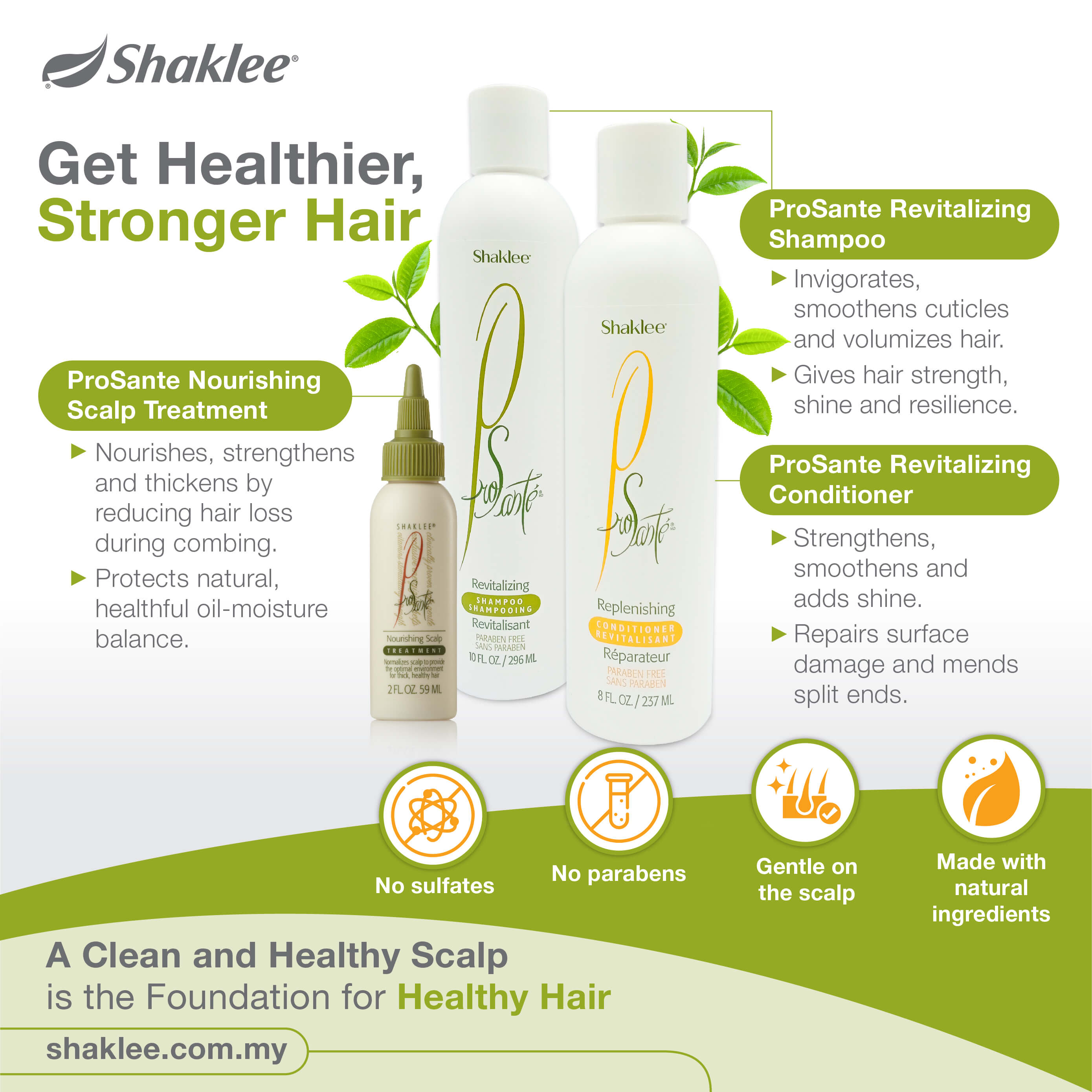 Nourishing Scalp Treatment | A healthy scalp is the foundation for healthy  hair | Shaklee Malaysia
