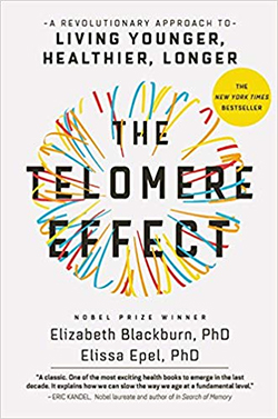 The Telomere Effect