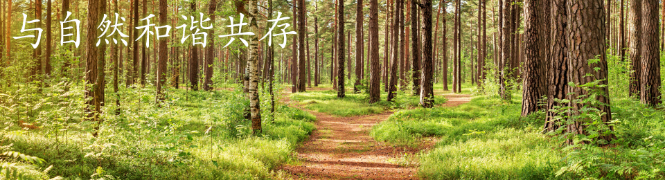 与大自然和谐共存
