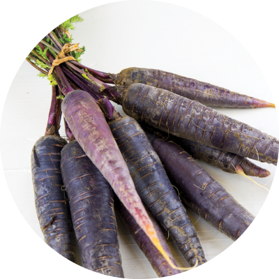 Purple Carrot Extract