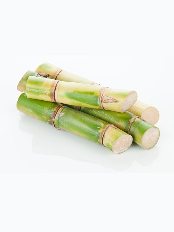 Plant-Based Squalane